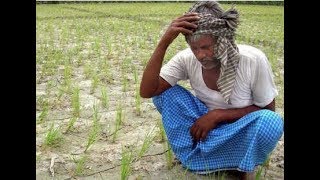 किसानों ने चलाया लाखों की फसल पर ट्रैक्टर Divya Delhi News