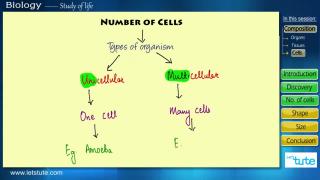 Introduction to Cell | Letstute