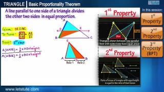 Basic Proportionality Theorem | Letstute
