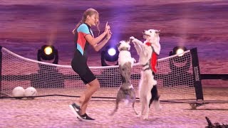 America's Got Talent 2017 Semi-Finals Sara, Hero & Loki Performance & Comments S12E19