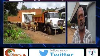 LOCALS DEMAND SOLUTION FOR HEAVY TRAFFIC IN PERNEM AREA DUE TO RISING NO. OF STRAY CATTLES