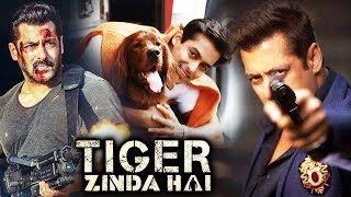 Salman' Race 3 First Look Revealed, Salman STOPS Tiger Zinda Hai SHoot For A Dog