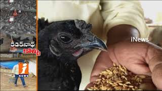 Kadaknath Kombadi Poultry Farming Brings Profits To Farmer at Sathupally | Success Story | iNews