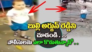 Funny Videos 2017 | Viral Videos