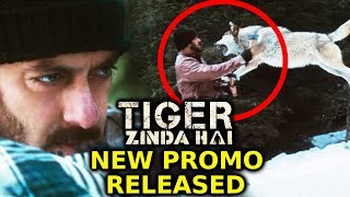Tiger Zinda Hai NEW Promo Out | Tiger Vs Wolf | Salman Khan