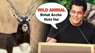 Salman Khan FUNNY COMMENT | Wild Animal Bohot Gentle Hota Hai