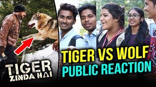 Tiger Salman Khan Vs Deadly WOLF In Tiger Zinda Hai | Public Reaction