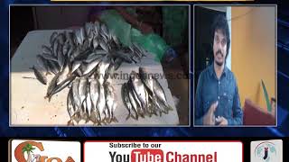 Rising Resentment of  Vasco Fisherman Against Government