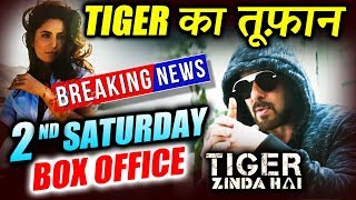 Salman's Tiger Zinda Hai 2nd Saturday Collection | Box Office Prediction