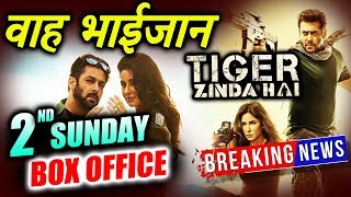 Salman's Tiger Zinda Hai 2nd Sunday Collection | Box Office Prediction