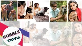 Bollywood Stars And Their Pets