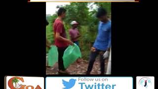 They Had Come To Throw Garbage Bags On Road But Were Taught A Good Lesson By Taliegaonkars Watch