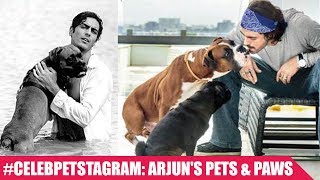 #CelebPetstagram: Arjun Rampal's 'vurfffadaar' companions
