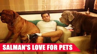 #CelebPetstagram: Salman Khan and His Canines