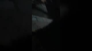 Srinagar Militant attack caught on Camera