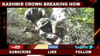 Kashmir Crown : Three militants killed in Nowgam, search ops still on