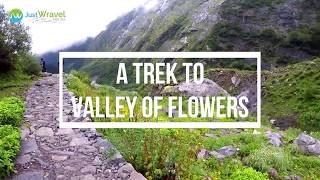 Valley Of Flowers Trek