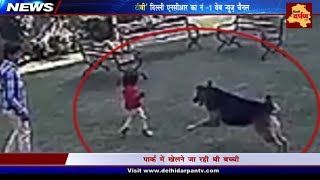 Delhi Alipur Dog Attack || A Group of 10 Dogs Attack a School Girl