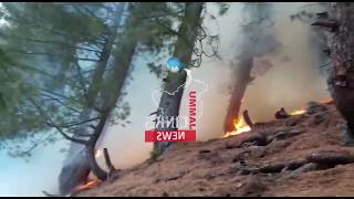 Forest fire erupts along LoC in Poonch