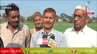 Unable to harvest crops along Indo-Pak border, 'scared' farmers in Jammu pray for peace