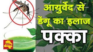 Haridwar News - आयुर्वेदिक तरीके से मुमकिन है डेंगू का उपचार !