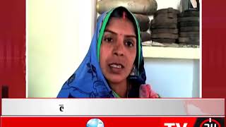 पन्ना - शाहनगर में बंदरों का बढ़ा आतंक - tv24