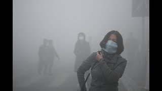 भारत के इस राज्य में है सबसे ज़्यादा प्रदूषण || नहीं मिल रहा समाधान !