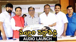 Nelluri Pedda Reddy Movie Audio Launch | Sathish Reddy, Mouryani & Mumthaj