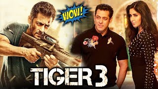 Salman Khan's TIGER 3 Latest Update, Next Movie After Bharat
