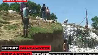 सिद्धार्थनगर - बांध पर कटान से ग्रामीणों में दहशत
