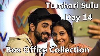 Tumhari Sulu Box Office Collection Day 14