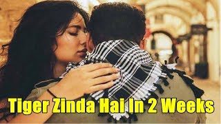 Tiger Zinda Hai Countdown Begins l Just 2 Weeks Remaining l How Excited Are You?