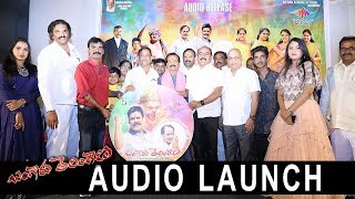 Bangaru Telangana Movie Audio Launch - Bhavani HD Movies