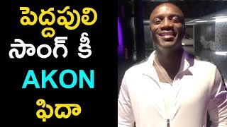 Chal Mohan Ranga Movie - Pedda Puli song Akon byte - Bhavani HD Movies