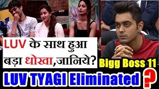 Luv Tyagi Gets Eliminated From Bigg Boss 11 I Here's The Proof?