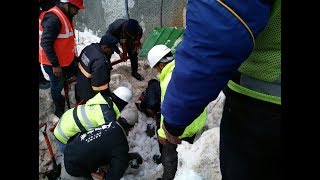 हिमस्खलन की चपेट में आया बिजली कर्मी, घायल अवस्था में अस्पताल भर्ती