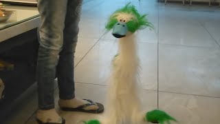Kids Story In Puppet Form