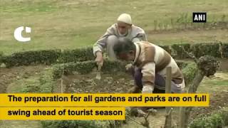 Kashmir’s Garden Being Decorate