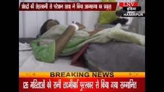 हमीरपुरः शोहदों की छेड़खानी से परेशान छात्रा ने किया आत्महत्या का प्रयास