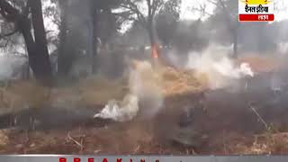 खेत मे लगी आग हजारो का नुकसान #Channel India Live