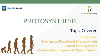 Photosynthesis | Biology for NEET by Career Point