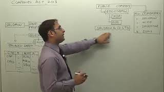 Nature of Company | CS Executive Company Law by Prof. Sudhir Sachdeva