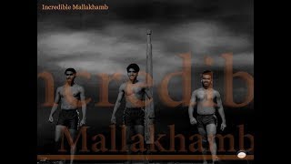 India's Got Talent 7 First Finalist | Incredible Mallakhamb | at J W Marriott Pune |