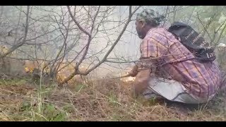 बांदीपोरा के जंगलों में पिछले 3 दिनों से जारी है आग का तांडव, करोड़ों पेड़ तबाह