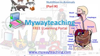 Science Class 7 Chapter 2 Part 9|Nutrition in Animals|