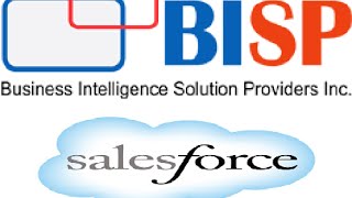 Salesforce Administration Organization Administration "Salesforce Profile Basic"