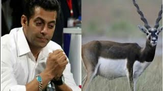 Salman Khan Accused In Black Buck Case