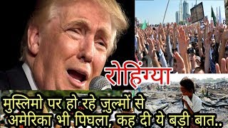 The US also melts against Rohingya Muslims' s oppression, saying this big thing ... (Hindi)