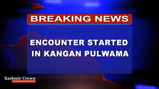 Gunfight breaks out in Pulwama district of south Kashmir
