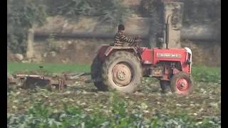 Delhi Farming 3